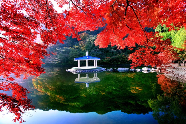 Korea Exclusive Shuttle Bus For Foreigners To Mt Naejangsan National Park Imagine Your Korea Go Korea By Kto London