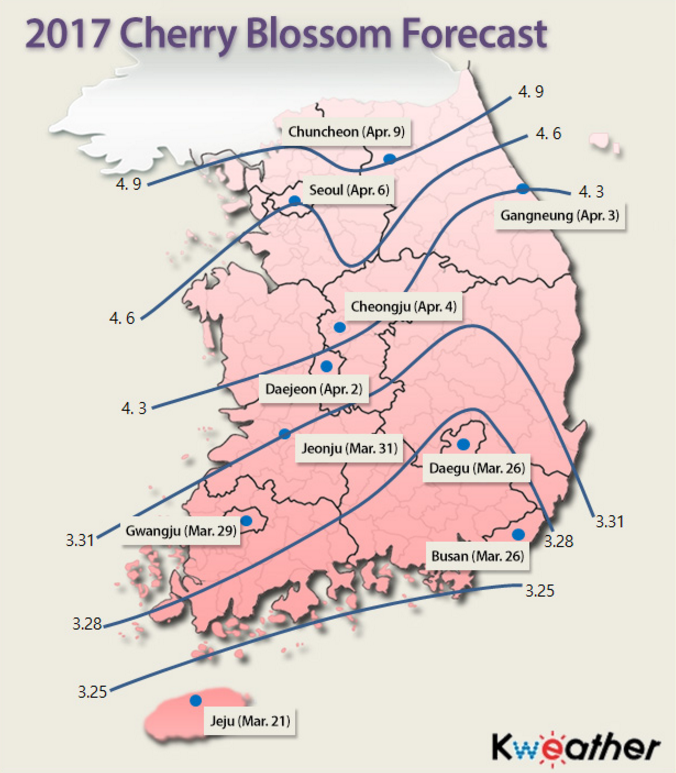 2017 Cherry Blossom Forecast in Korea