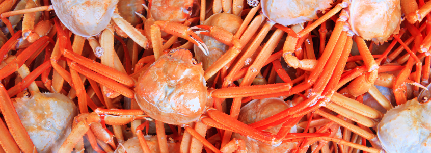Uljin Snow Crab festival Uljin Snow Crab festival