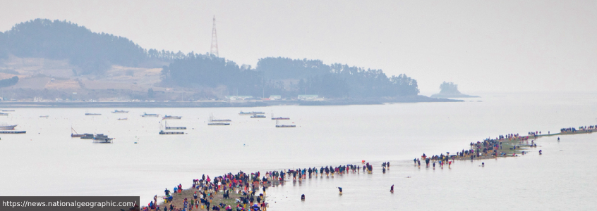 Jindo Miracle Sea Parting Festival Jindo Miracle Sea Parting Festival