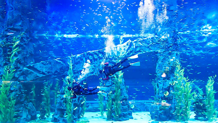 Lotte World Aquarium (Credit: Lotte World Aquarium) Lotte World Aquarium (Credit: Lotte World Aquarium)