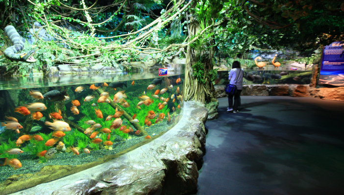 Busan - Meetings by the Sea - Sea Life Busan Aquarium Busan - Meetings by the Sea - Sea Life Busan Aquarium