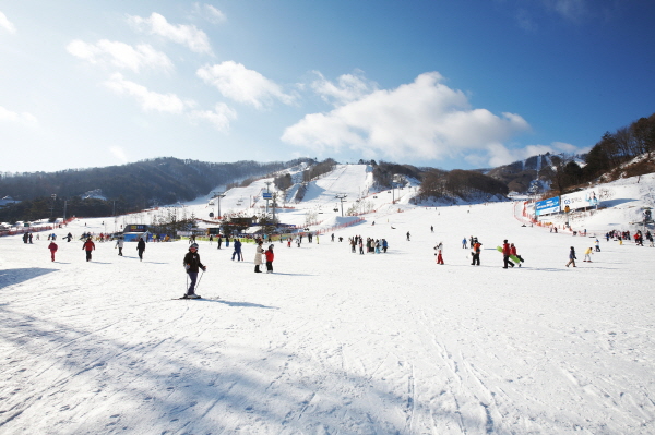 Snowfield at Phoenix Pyeongchang Ski Resort.